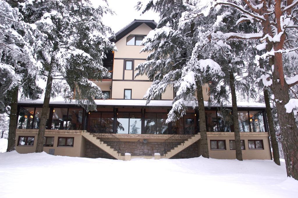 Vila Pina Zlatibor Esterno foto