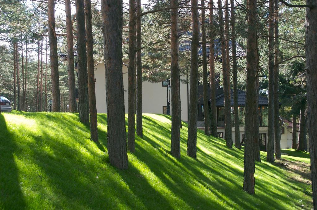 Vila Pina Zlatibor Esterno foto